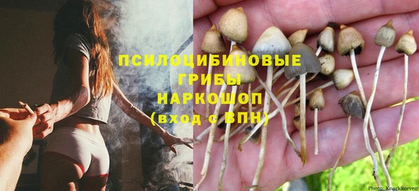 ешки Наволоки