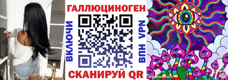 дарк нет официальный сайт Ясный Псилоцибиновые грибы Psilocybe где можно купить