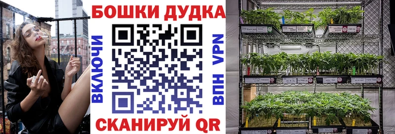 цена наркотик  blacksprut ссылки  Каннабис Ganja  Ясный 